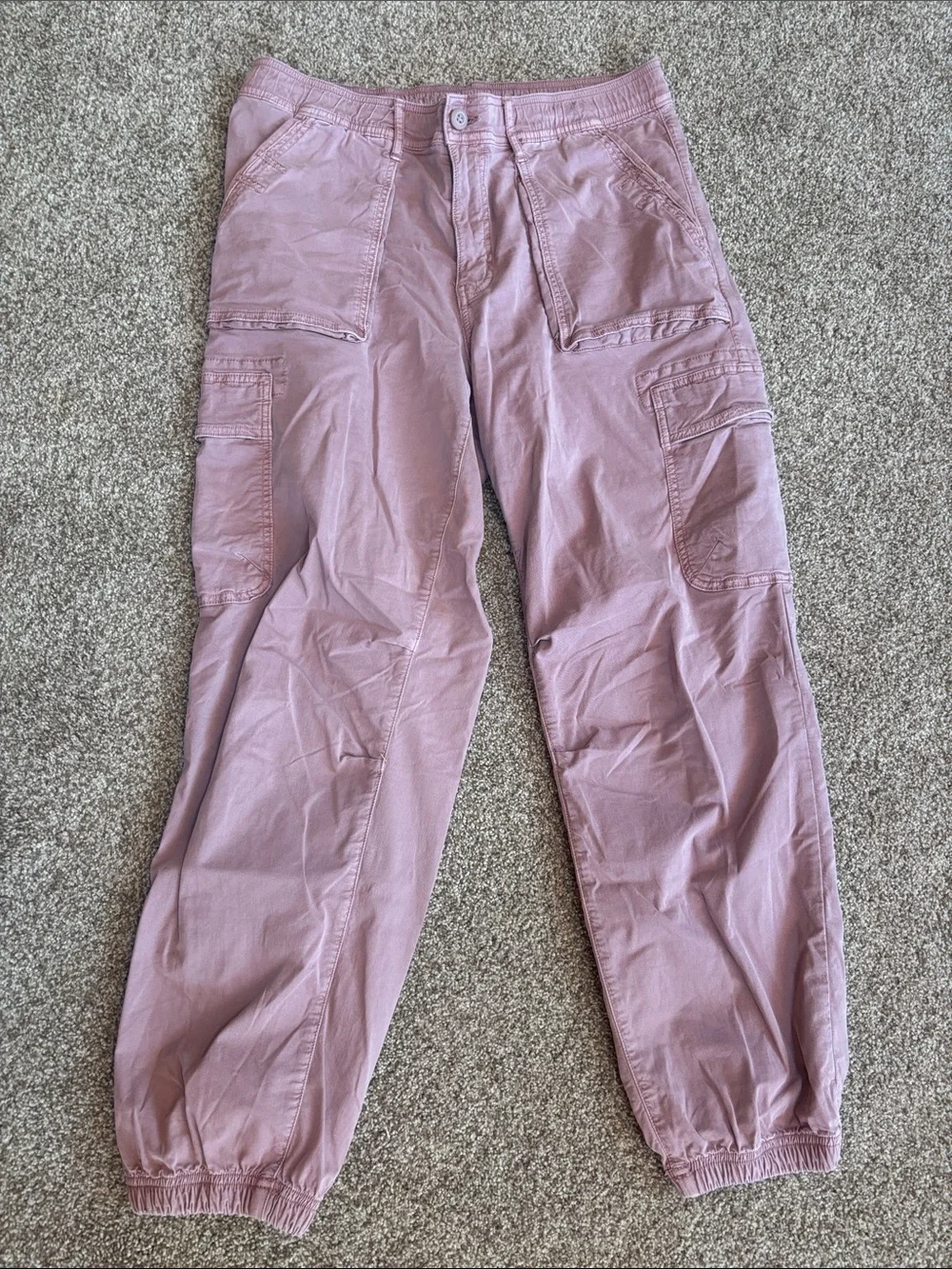 American Eagle Outfitters Dusty Rose Cargo Joggers